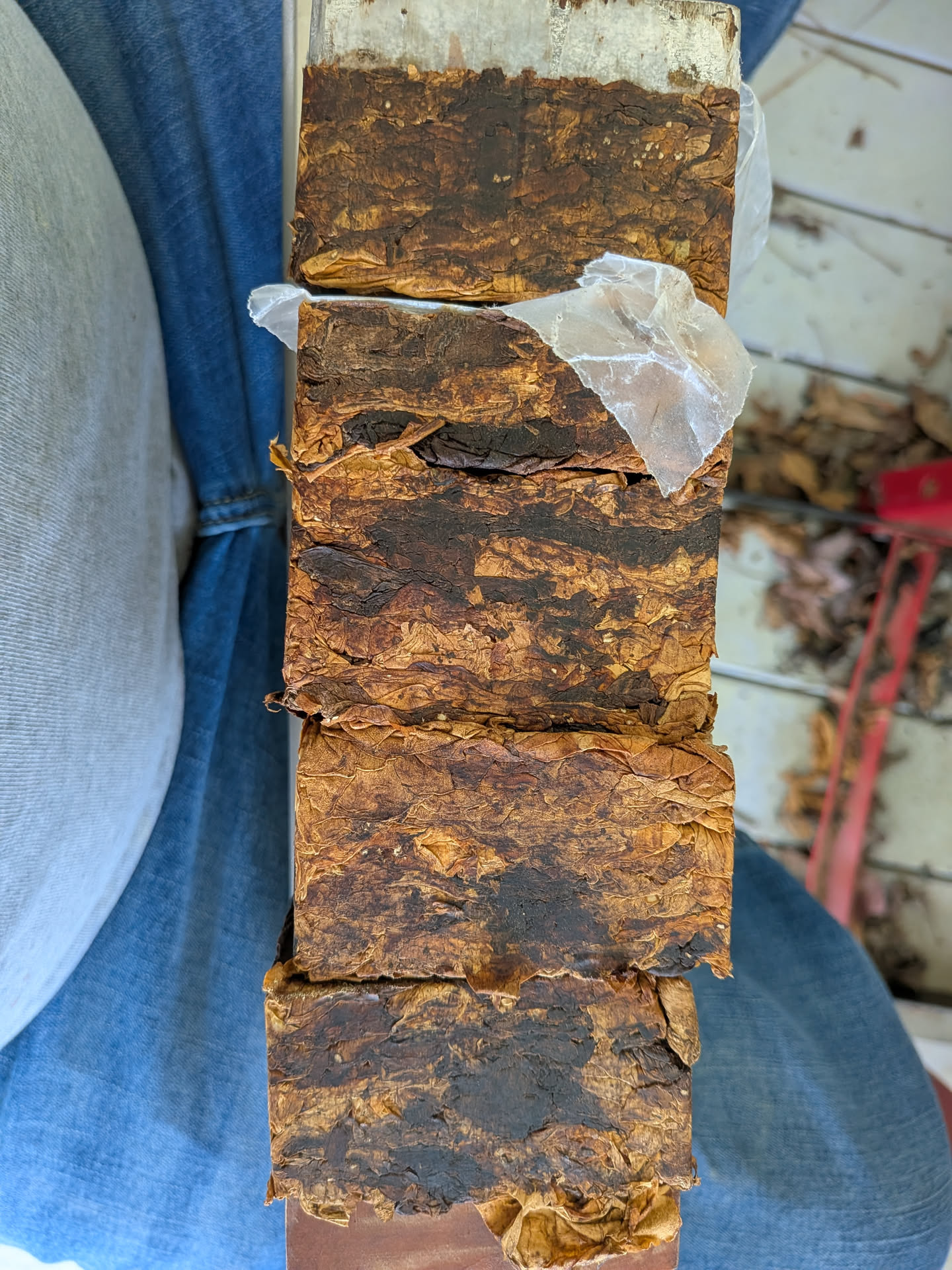 Four 200g plugs and one 100g plug pulled from the press