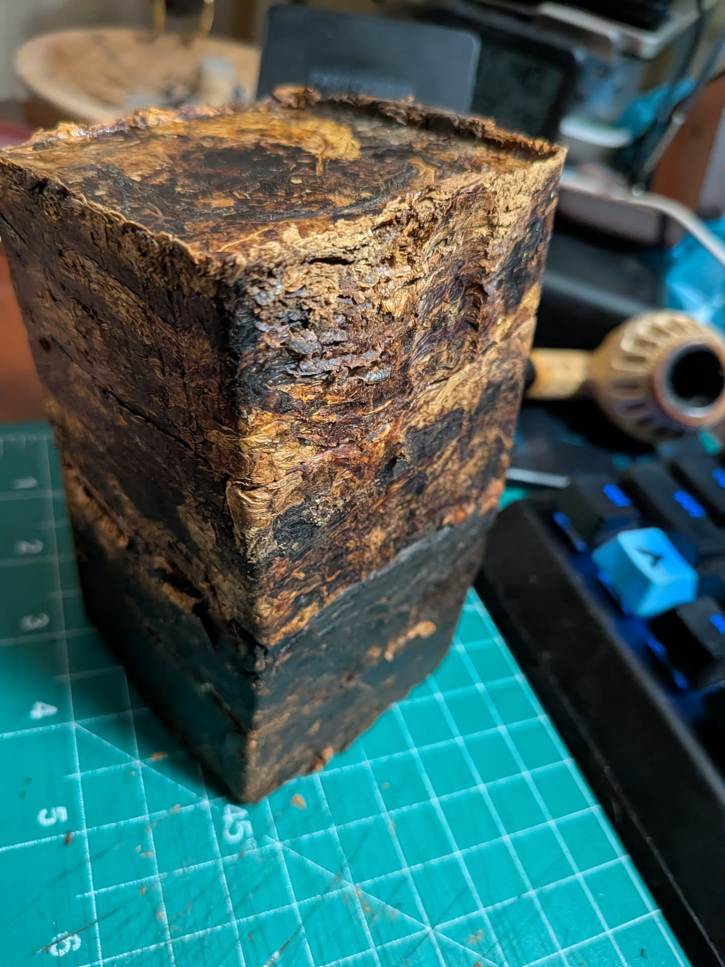 800g of Red Queen after 4 hours in the stove at 200F