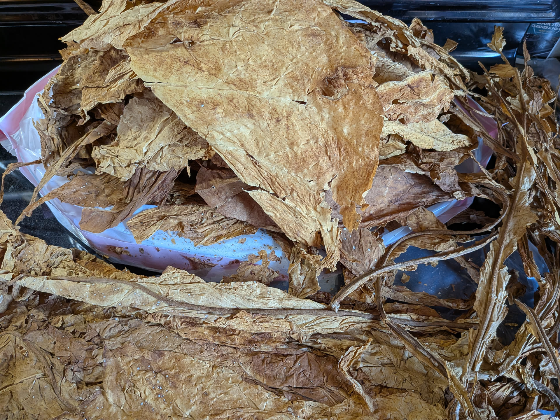 Stripping the stem from Red Virginia